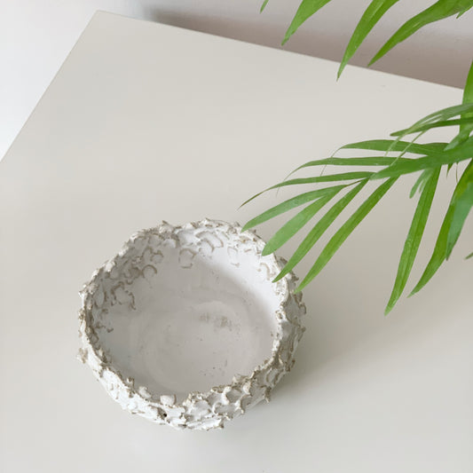 Blanco Orgánico